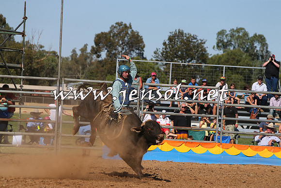 ForbesRodeo2015_0903