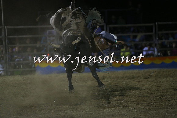 ForbesRodeo2015_2368
