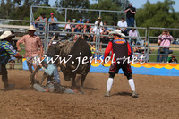 ForbesRodeo2015_0911