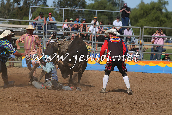 ForbesRodeo2015_0911