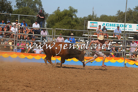 ForbesRodeo2015_0963