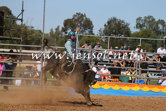 ForbesRodeo2015_0905