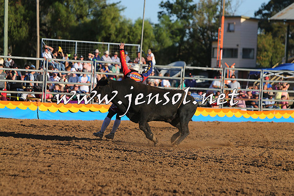 ForbesRodeo2015_1139