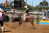 ForbesRodeo2015_0939