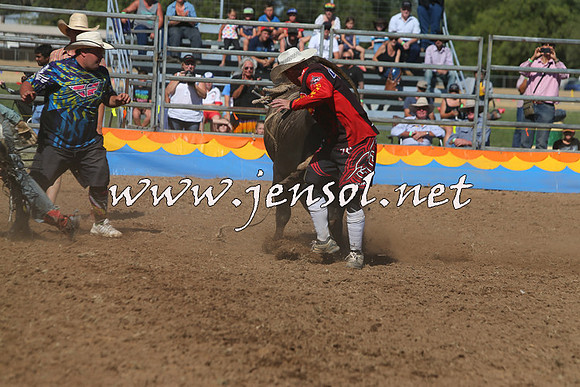 ForbesRodeo2015_0912