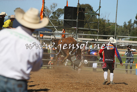 ForbesRodeo2015_0947