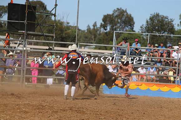 ForbesRodeo2015_0951