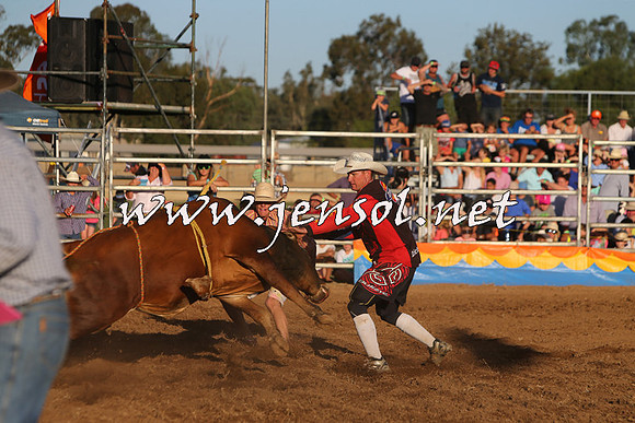 ForbesRodeo2015_1147