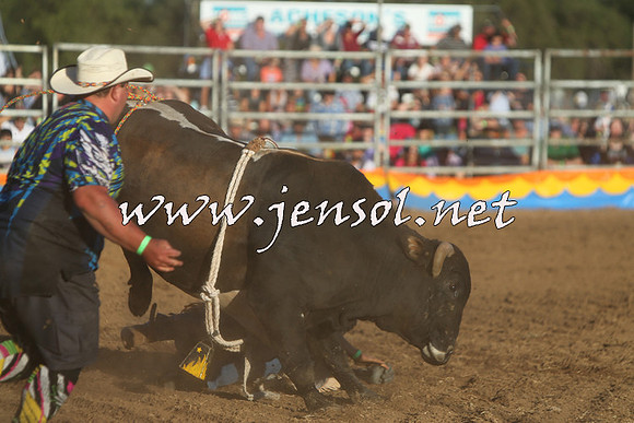 ForbesRodeo2015_1127