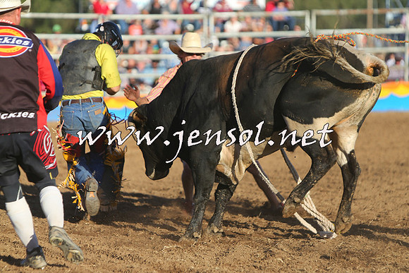 ForbesRodeo2015_1133