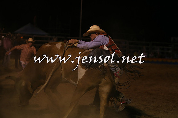 ForbesRodeo2015_2291