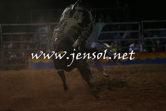 ForbesRodeo2015_2369