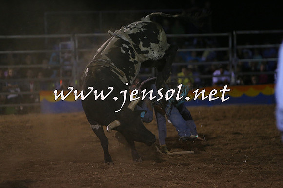 ForbesRodeo2015_2370