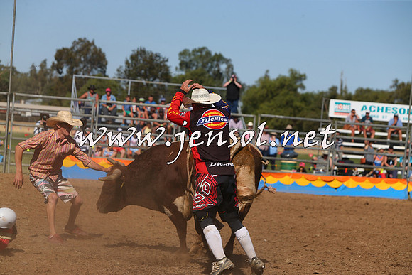 ForbesRodeo2015_0966