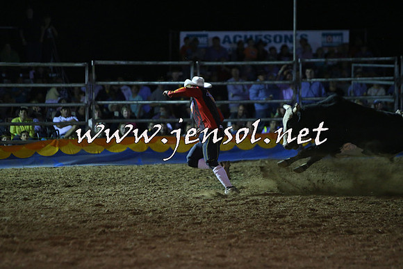 ForbesRodeo2015_2344