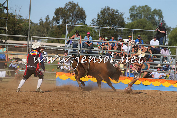 ForbesRodeo2015_0960