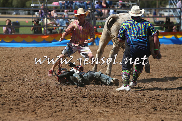 ForbesRodeo2015_0139