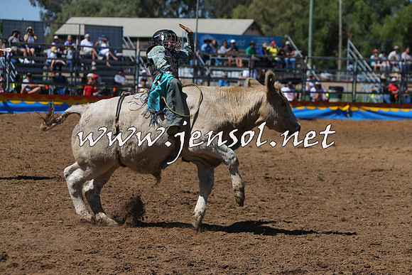 ForbesRodeo2015_0074