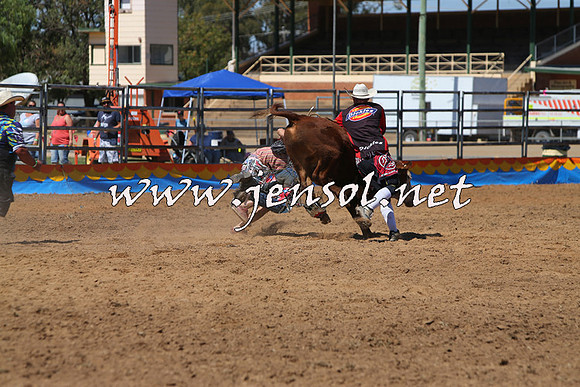 ForbesRodeo2015_0166
