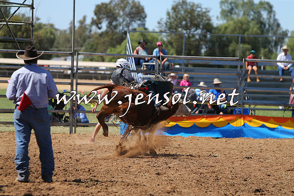 ForbesRodeo2015_0146
