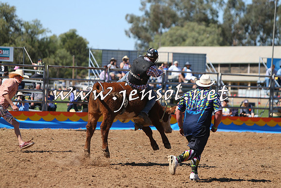 ForbesRodeo2015_0119