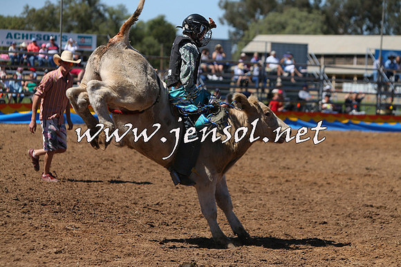 ForbesRodeo2015_0080