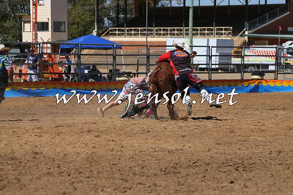 ForbesRodeo2015_0164