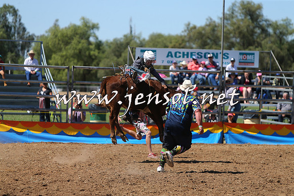 ForbesRodeo2015_0149