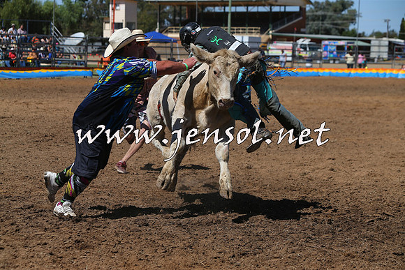 ForbesRodeo2015_0096