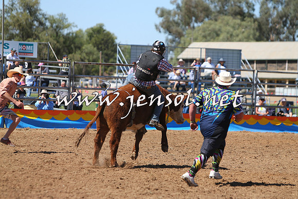 ForbesRodeo2015_0117