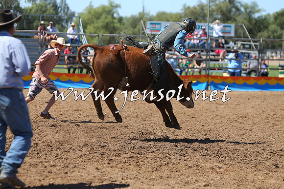 ForbesRodeo2015_0064