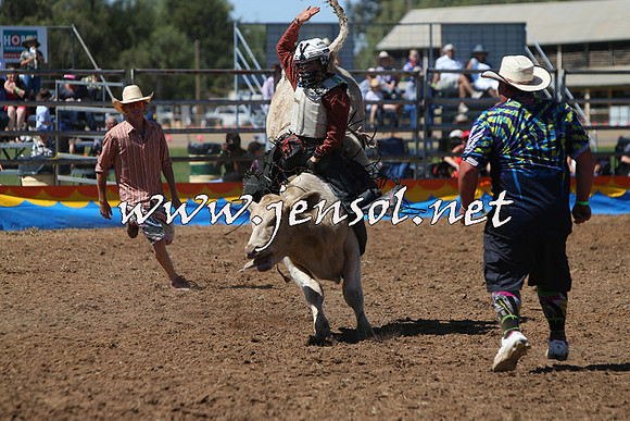 ForbesRodeo2015_0131