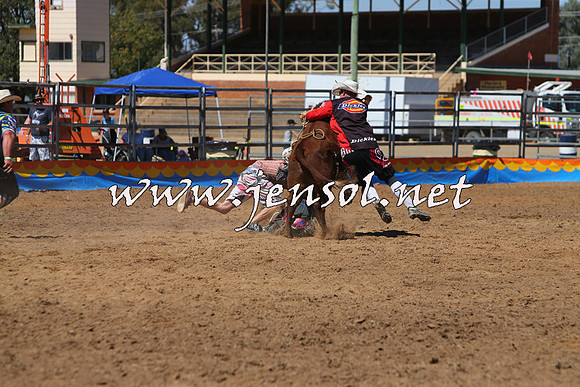 ForbesRodeo2015_0162