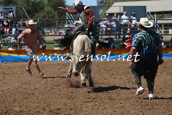 ForbesRodeo2015_0134