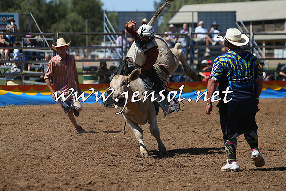 ForbesRodeo2015_0132
