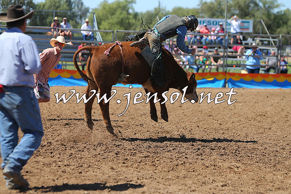 ForbesRodeo2015_0065
