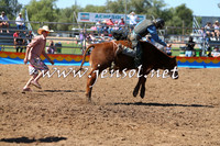 ForbesRodeo2015_0072