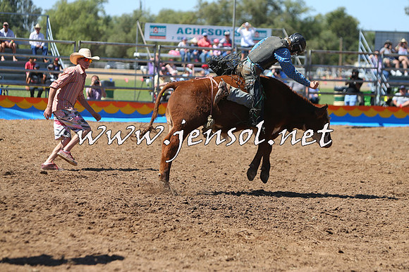 ForbesRodeo2015_0072