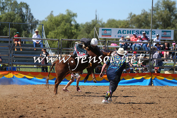 ForbesRodeo2015_0151