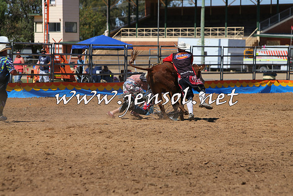 ForbesRodeo2015_0163