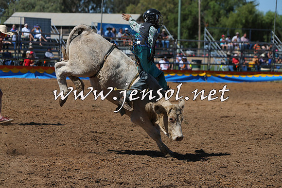 ForbesRodeo2015_0089