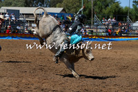 ForbesRodeo2015_0090