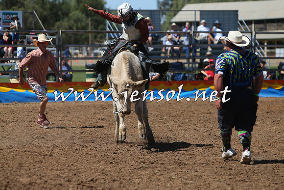ForbesRodeo2015_0135