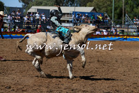 ForbesRodeo2015_0075