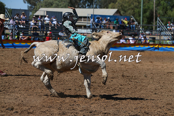ForbesRodeo2015_0075