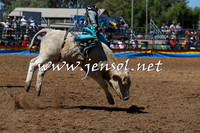 ForbesRodeo2015_0076