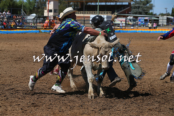 ForbesRodeo2015_0097