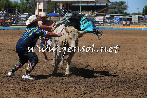 ForbesRodeo2015_0100
