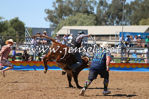 ForbesRodeo2015_0115