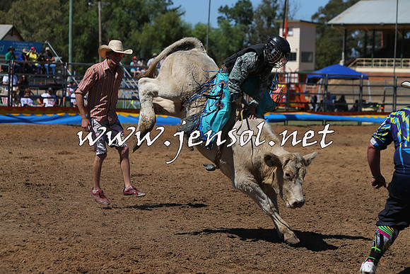 ForbesRodeo2015_0103